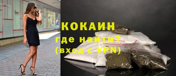 мет Бородино