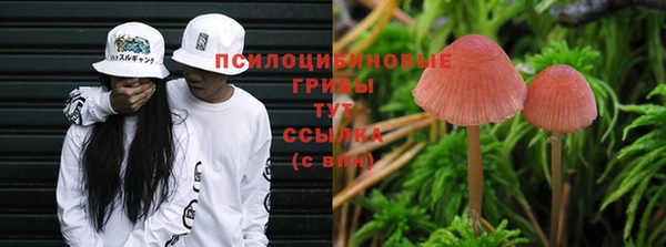 мет Бородино