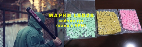 шишки Новозыбков